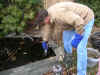 79-dscn1953.jpg (833651 bytes)